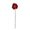 Northlight Magnolia Artificial Christmas Stem Spray - 23" - Red and Brown
